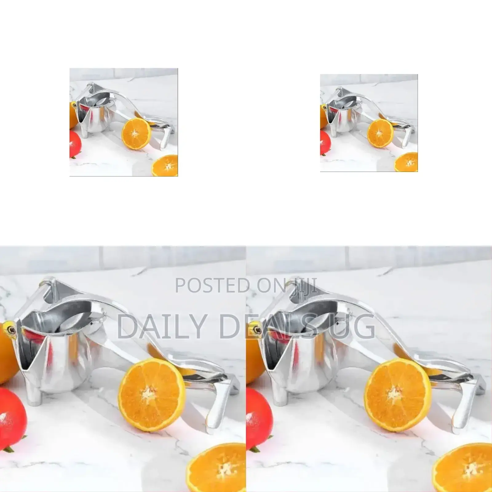 Citrus Juicer Press