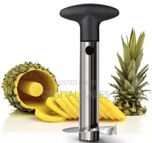 Stainless Steel Pineapple Peeler and Slicer