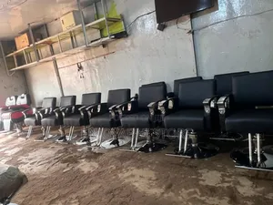 Executive Salon Chair Styling Salon Chair