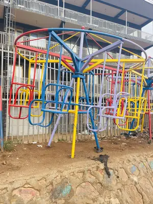 Circus Swings