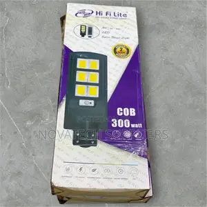 300W LED Solar Street Lights / Automatic Lights Irven