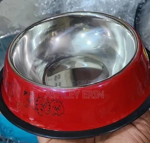 Dog Feeding Bowl