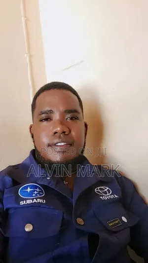 Professional Mechanic and Spare Parts Supplier