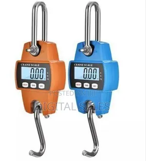 Crane Weighing Scale 300kg
