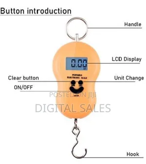 50kg Electronic Portable Hanging