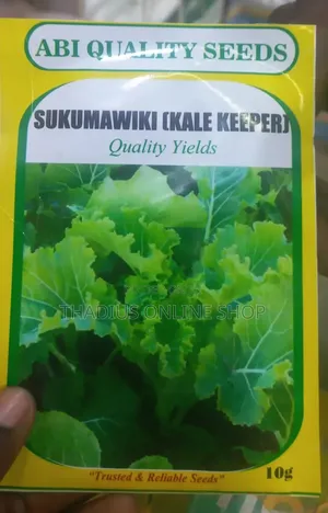 Sukumawiki(Kale Keeper) Seeds. Grow in Your Small Garden