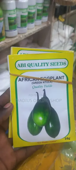African Eggplant Seeds (Ntula)Seeds