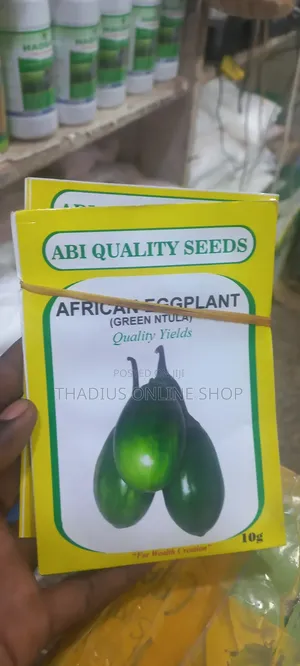 African Eggplant Seeds (Ntula)Seeds