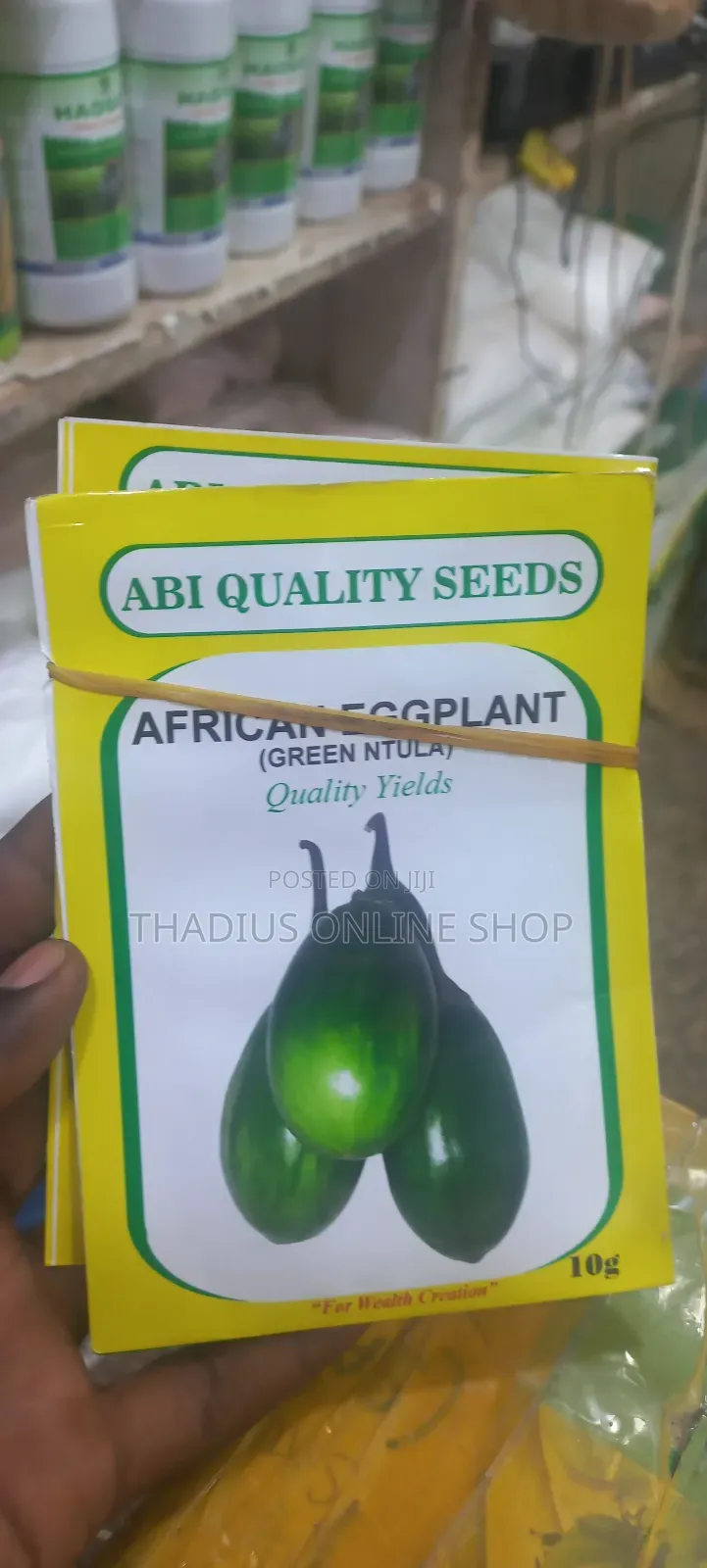 African Eggplant Seeds (Ntula)Seeds