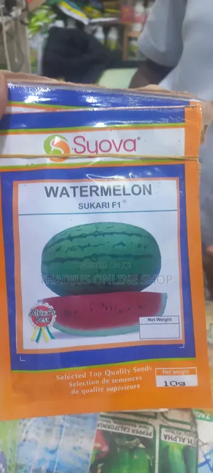 Suvari F1 Watermelon  Quality Seeds