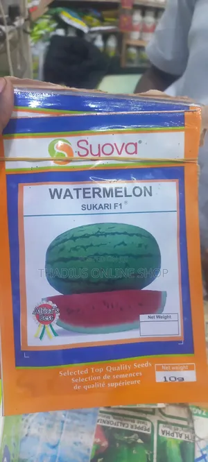 Suvari F1 Watermelon  Quality Seeds