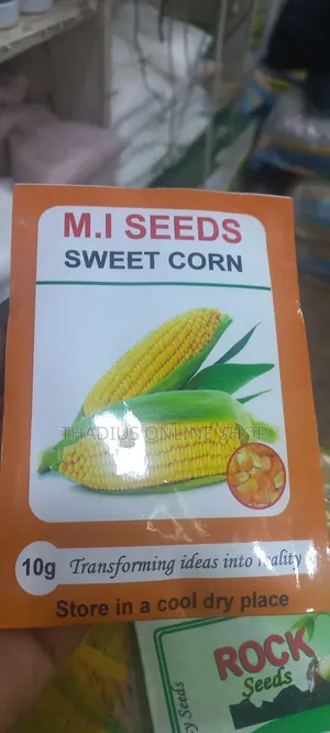 Sweet Corn Seeds (Niloni)