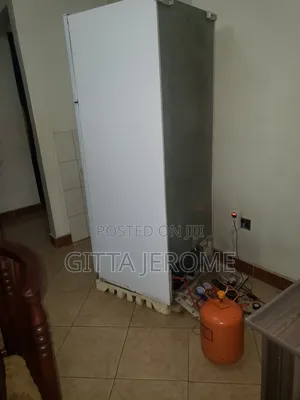 Fridge Repairing Services With Professional Technicians 41