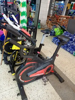 Indoor Exercise Spin Bike