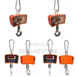 1 Tone Hanging Crane Weighing Scale.