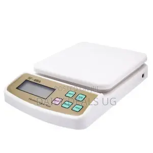 Computer Scale