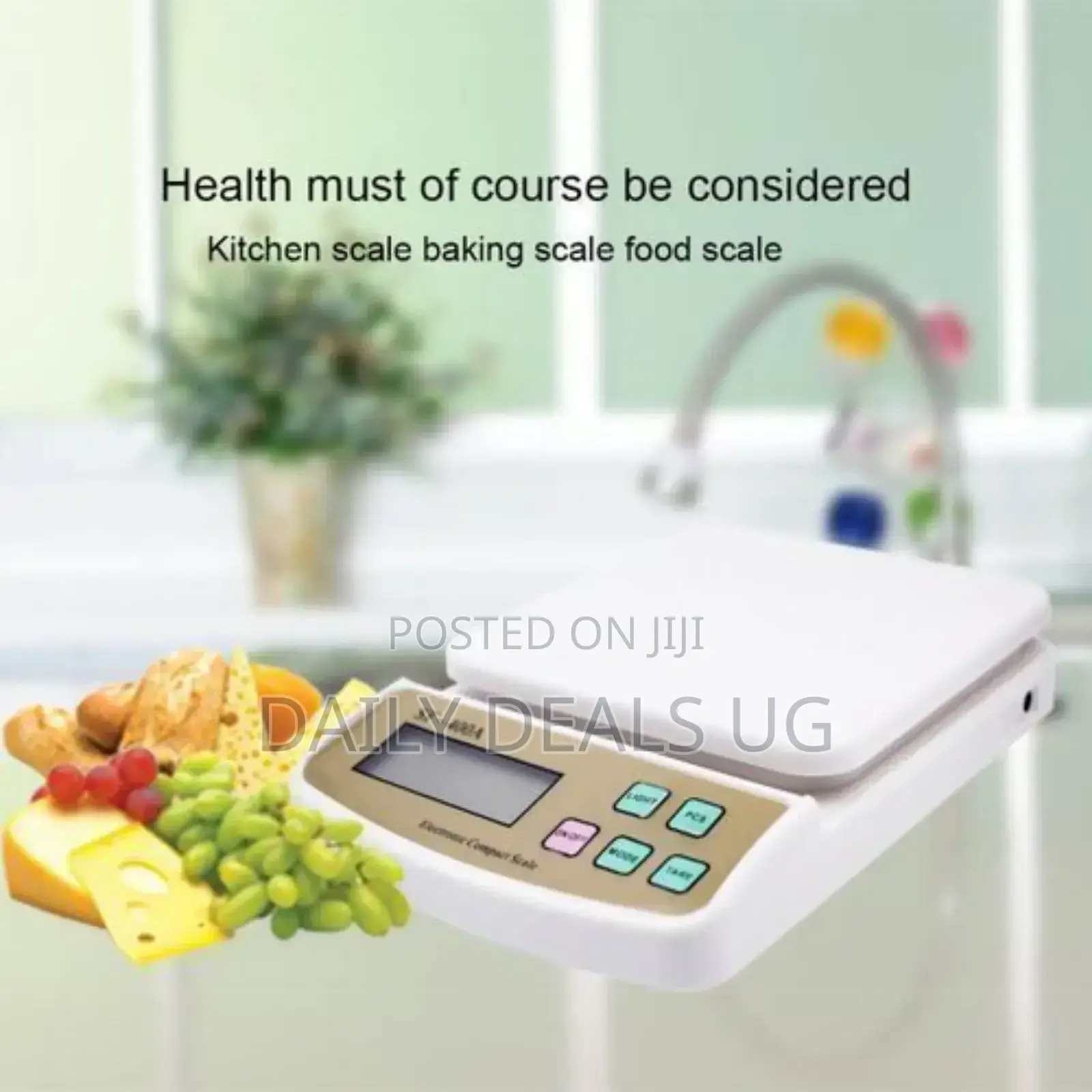 Computer Scale