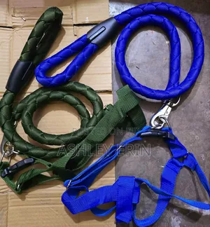 Big Heavy-Duty Leaches With Harness