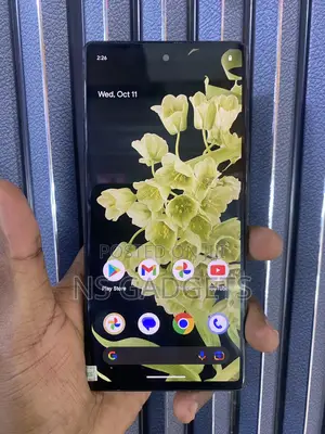 Google Pixel 6 Pro 128 GB Gray