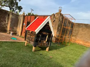 NBGGFFFFDSSZXXX Nice Dog House