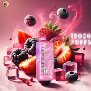 Lost Mary 15000 Puffs Led Display Rechargable Vapes