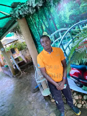 Cashiers to Work in Nsangi