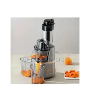Electric Slow Juicer.