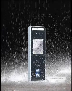 Speedface V3l Face Recognition Access Control