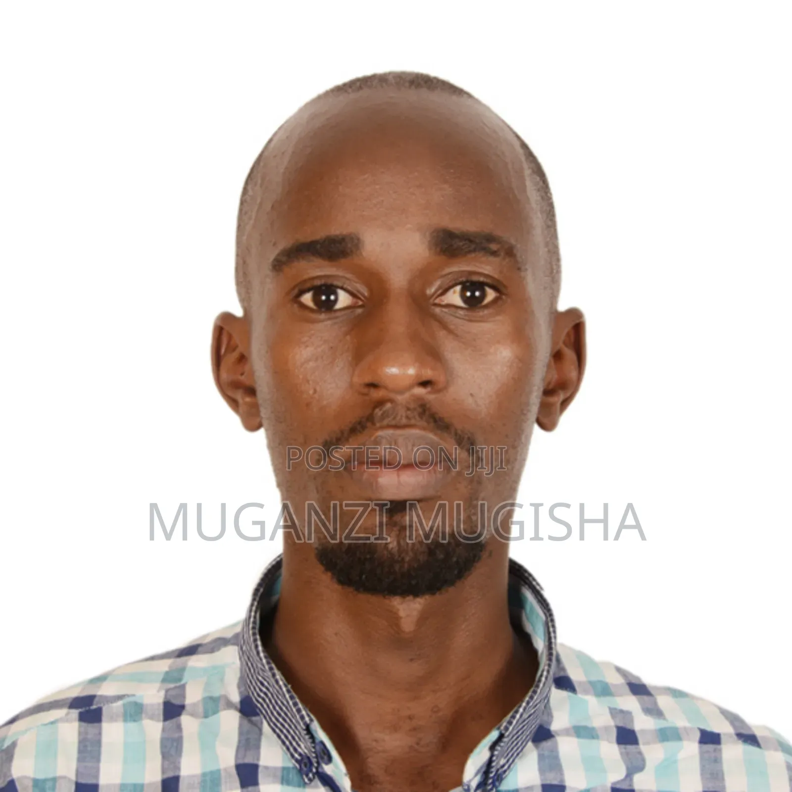 Sales Representative