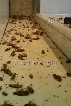 Fumigation Services