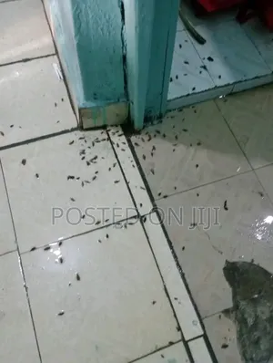 Fumigation Services