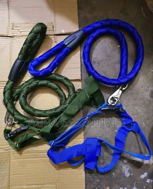 Big Heavy Duty Leaches With Harness