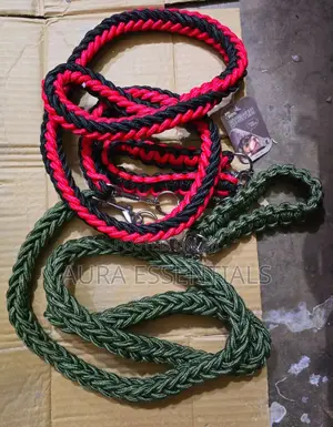 Emily Pets Woven Nylon Dog Leash
