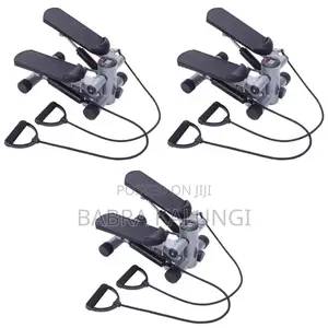 Dual Exercise Stepper