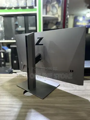 IPS Z Monitor Size 24