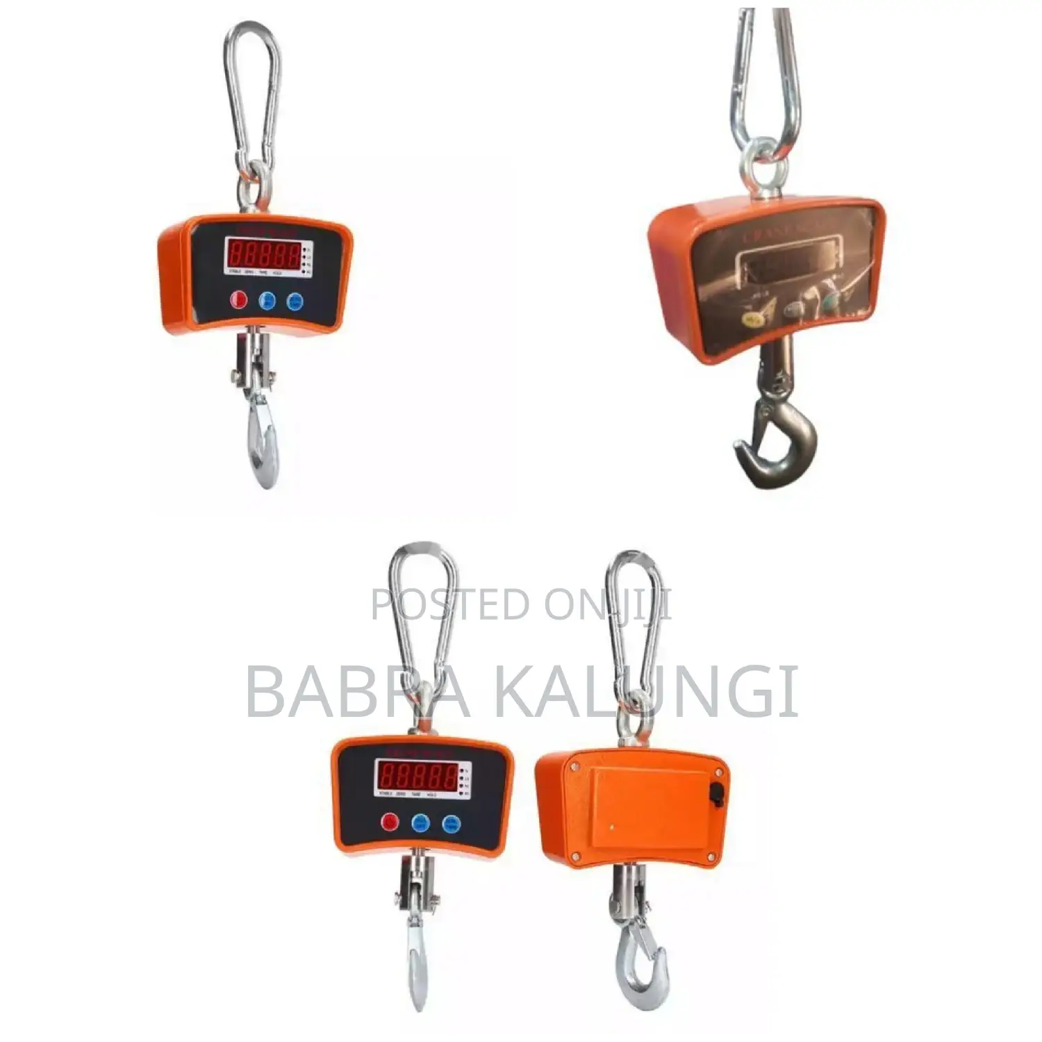 1 Tonne Rechargeable Hanging Crane Weighing Scale