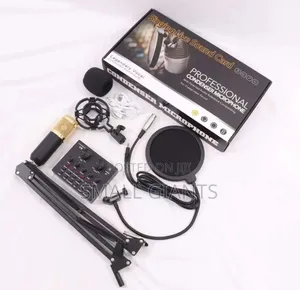 Music Recording Personal Condenser and Sound Microphone