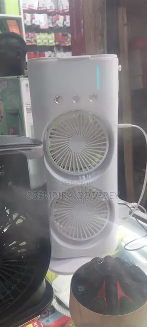 Fan With Beautiful Steamer