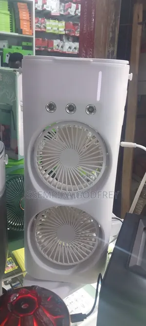 Fan With Beautiful Steamer