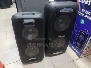 Cortina Rechargeable Dual Speaker-Amplified 12 Inches