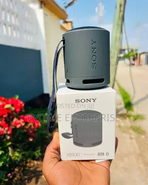 Sony SRS XB100 Portable Bluetooth Speaker