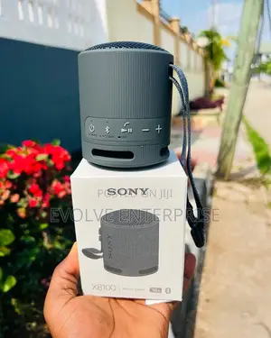 Sony SRS XB100 Portable Bluetooth Speaker