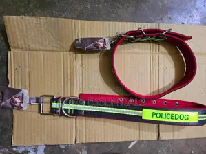 Heavy Duty Dog Collar