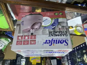 Garment Steamer
