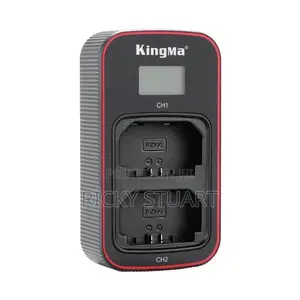 Lp-E6 Battery USB LCD Dual Charger for Canon
