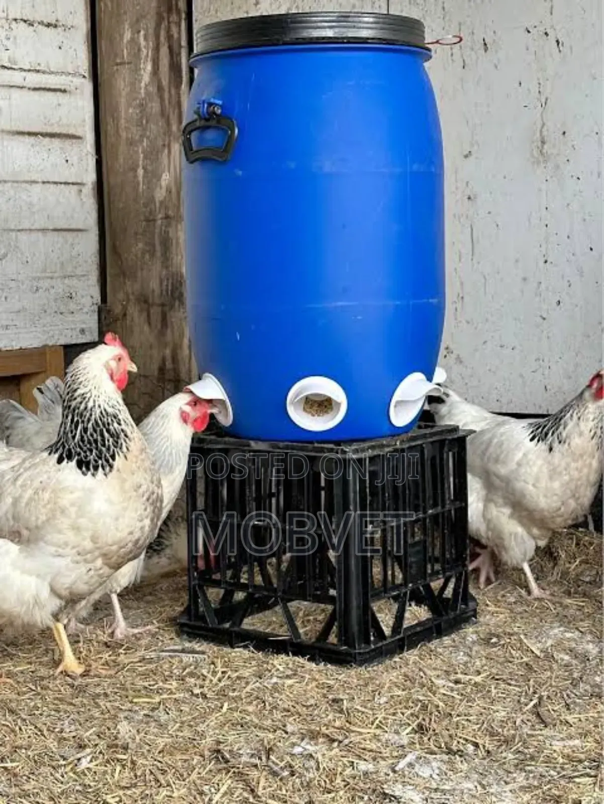 Automatic Chicken Feeder