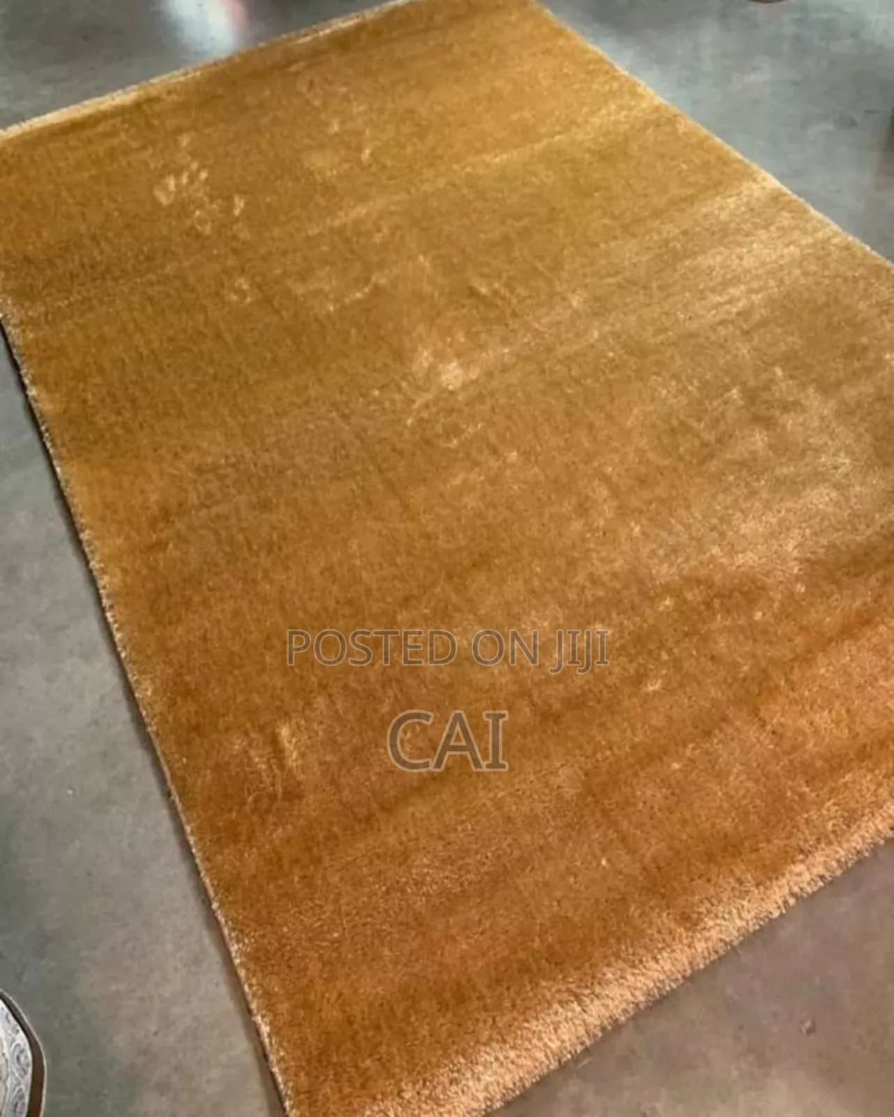 First Rate Shaggy Carpet