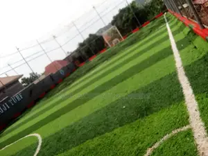 Modern Artificial Turf Grass Carpet