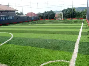 Modern Artificial Turf Grass Carpet
