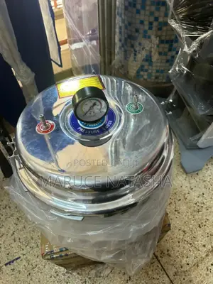20l Cooker Type Electric Autoclave